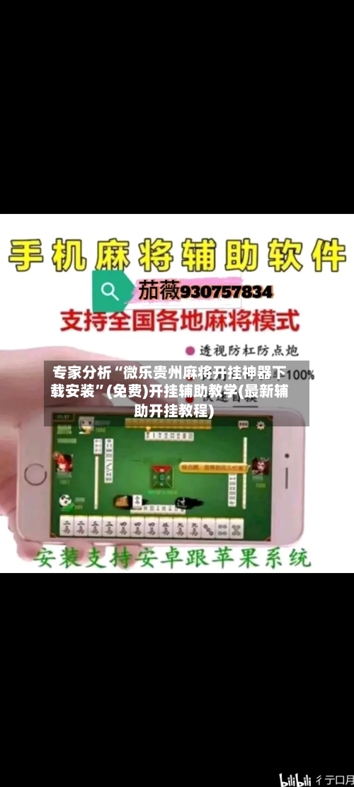 专家分析“微乐贵州麻将开挂神器下载安装”(免费)开挂辅助教学(最新辅助开挂教程)-第3张图片