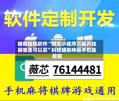 辅助挂机软件“微乐小程序万能开挂器哪里可以买”科技辅助神器手机版教程-第2张图片