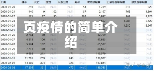页疫情的简单介绍