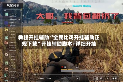 教程开挂辅助“全民比鸡开挂辅助正规下载”开挂辅助脚本+详细开挂-第2张图片