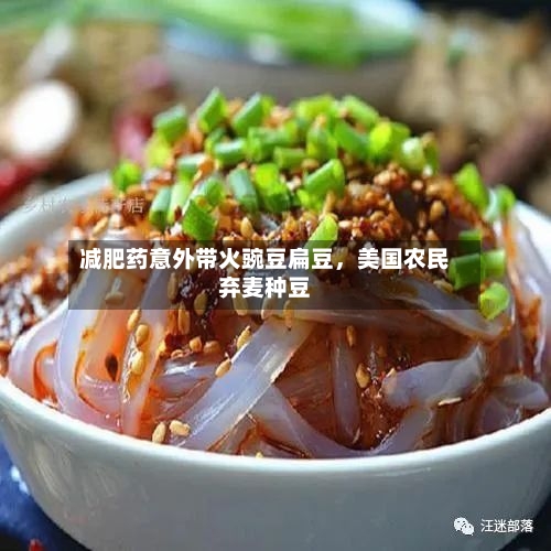 减肥药意外带火豌豆扁豆，美国农民弃麦种豆