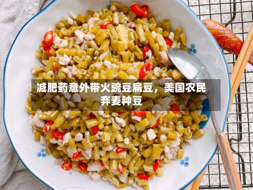 减肥药意外带火豌豆扁豆	，美国农民弃麦种豆-第2张图片