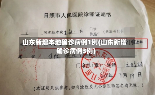 山东新增本地确诊病例1例(山东新增确诊病例3例)-第2张图片