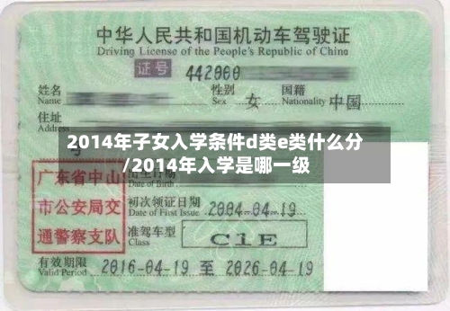 2014年子女入学条件d类e类什么分/2014年入学是哪一级-第3张图片