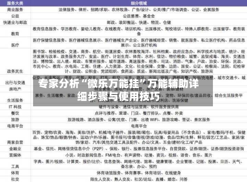 专家分析“微乐万能挂”万能辅助详细步骤与使用技巧-第2张图片