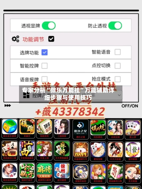 专家分析“微乐万能挂”万能辅助详细步骤与使用技巧