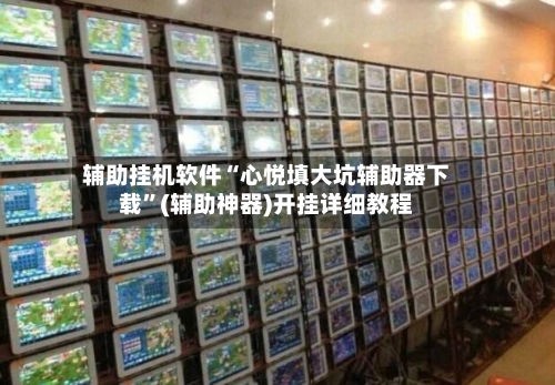 辅助挂机软件“心悦填大坑辅助器下载”(辅助神器)开挂详细教程-第2张图片