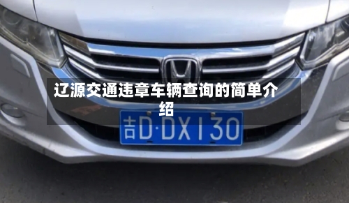 辽源交通违章车辆查询的简单介绍