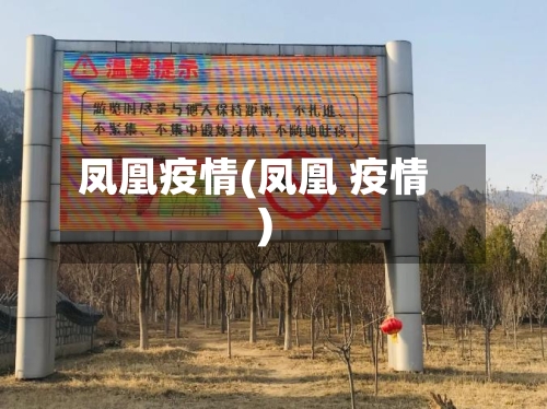 凤凰疫情(凤凰 疫情)-第2张图片