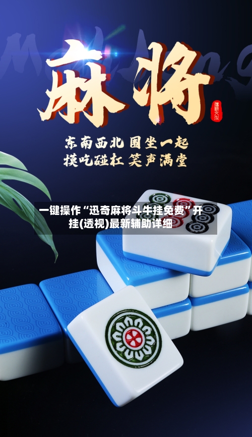 一键操作“迅奇麻将斗牛挂免费	”开挂(透视)最新辅助详细-第2张图片