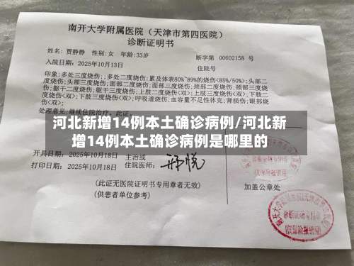 河北新增14例本土确诊病例/河北新增14例本土确诊病例是哪里的-第2张图片