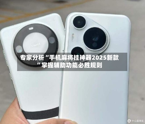 专家分析“手机麻将挂神器2025新款”掌握辅助功能必胜规则