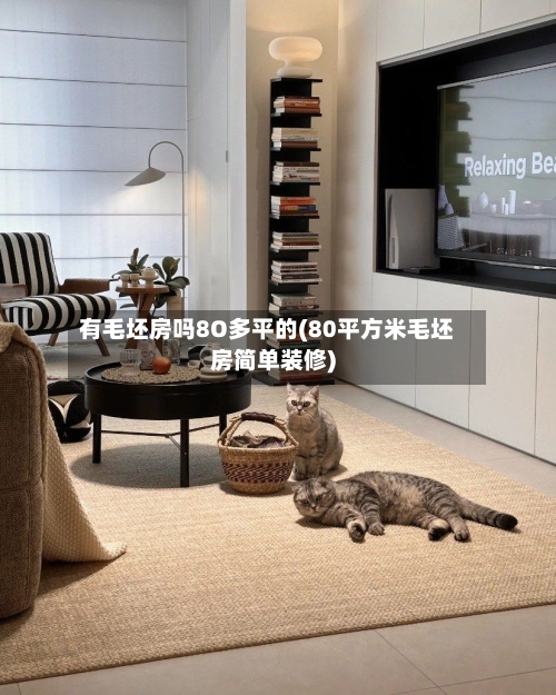 有毛坯房吗8O多平的(80平方米毛坯房简单装修)-第2张图片