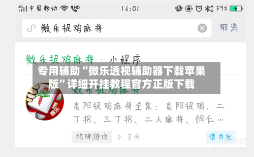 专用辅助“微乐透视辅助器下载苹果版”详细开挂教程官方正版下载