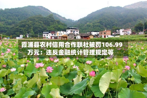 霞浦县农村信用合作联社被罚106.99万元：违反金融统计管理规定等