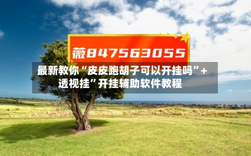 最新教你“皮皮跑胡子可以开挂吗”+透视挂”开挂辅助软件教程-第2张图片