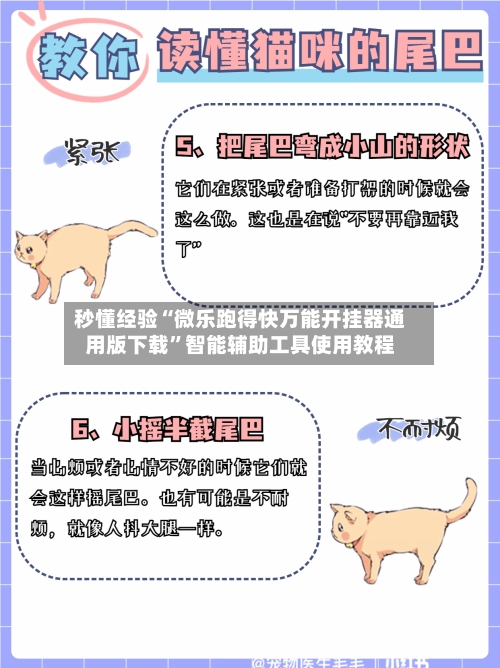 秒懂经验“微乐跑得快万能开挂器通用版下载	”智能辅助工具使用教程-第2张图片