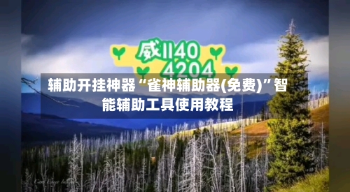 辅助开挂神器“雀神辅助器(免费)”智能辅助工具使用教程-第2张图片