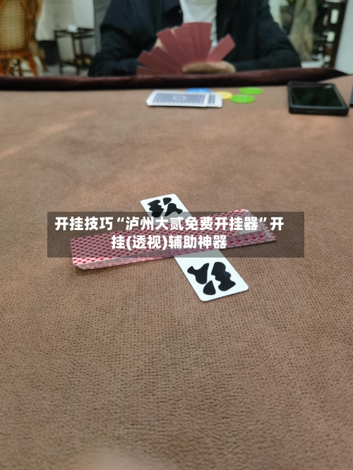 开挂技巧“泸州大贰免费开挂器	”开挂(透视)辅助神器-第2张图片