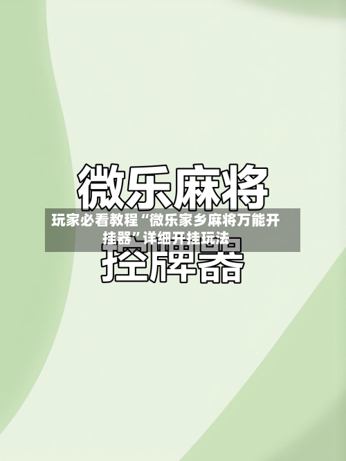 玩家必看教程“微乐家乡麻将万能开挂器”详细开挂玩法-第2张图片