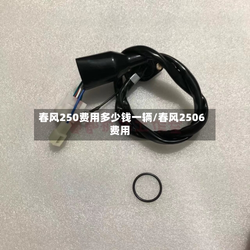 春风250费用多少钱一辆/春风2506费用-第2张图片