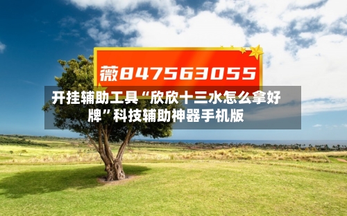 开挂辅助工具“欣欣十三水怎么拿好牌	”科技辅助神器手机版-第2张图片