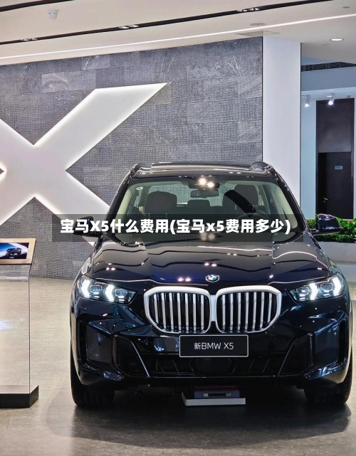 宝马X5什么费用(宝马x5费用多少)-第3张图片