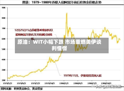原油：WIT小幅下跌 市场重燃美伊谈判憧憬-第2张图片