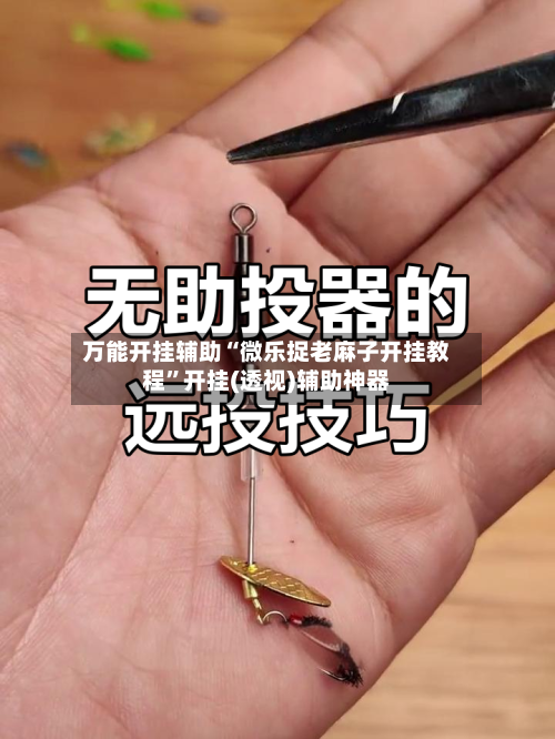 万能开挂辅助“微乐捉老麻子开挂教程”开挂(透视)辅助神器