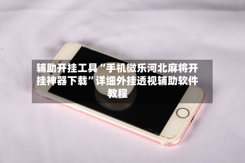 辅助开挂工具“手机微乐河北麻将开挂神器下载”详细外挂透视辅助软件教程-第2张图片