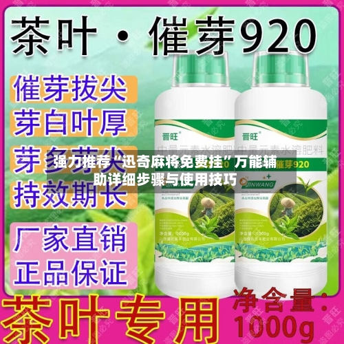 强力推荐“迅奇麻将免费挂”万能辅助详细步骤与使用技巧