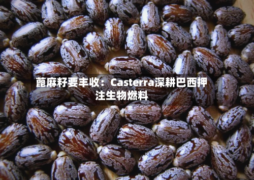 蓖麻籽要丰收：Casterra深耕巴西押注生物燃料