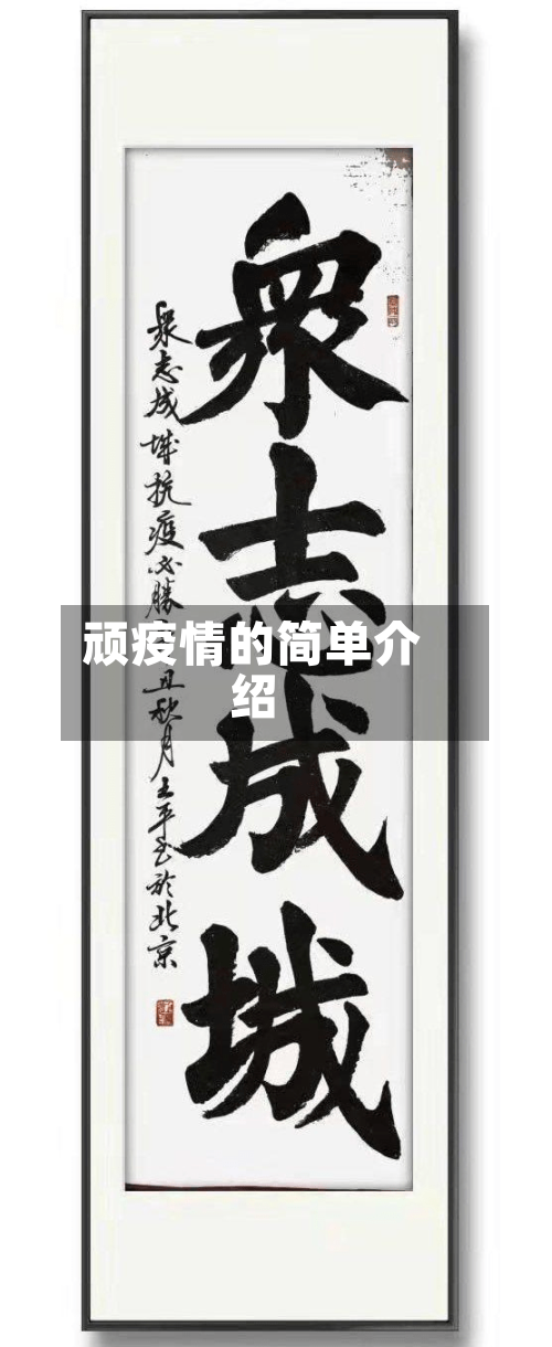 顽疫情的简单介绍-第3张图片