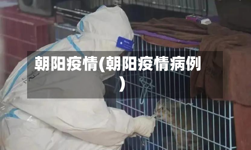 朝阳疫情(朝阳疫情病例)