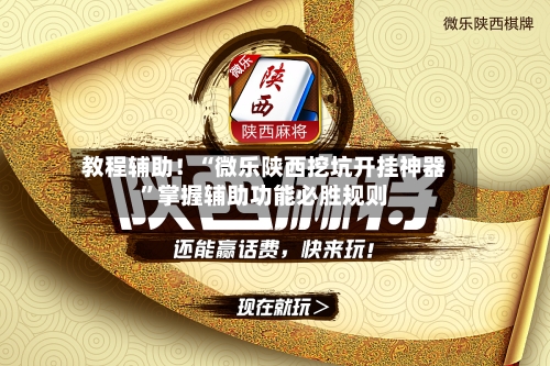 教程辅助！“微乐陕西挖坑开挂神器”掌握辅助功能必胜规则-第3张图片