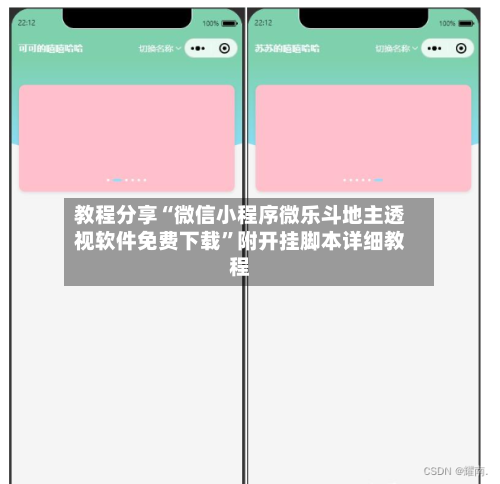 教程分享“微信小程序微乐斗地主透视软件免费下载”附开挂脚本详细教程-第2张图片