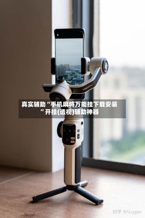 真实辅助“手机麻将万能挂下载安装”开挂(透视)辅助神器-第3张图片