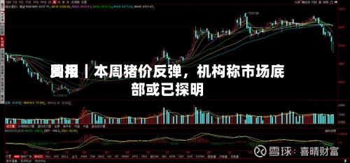 费用周报｜本周猪价反弹，机构称市场底部或已探明-第3张图片