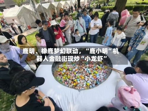 鹿明	、橡鹿梦幻联动	，“鹿小明”机器人金融街现炒“小龙虾”-第2张图片