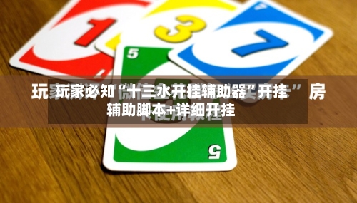 玩家必知“十三水开挂辅助器”开挂辅助脚本+详细开挂