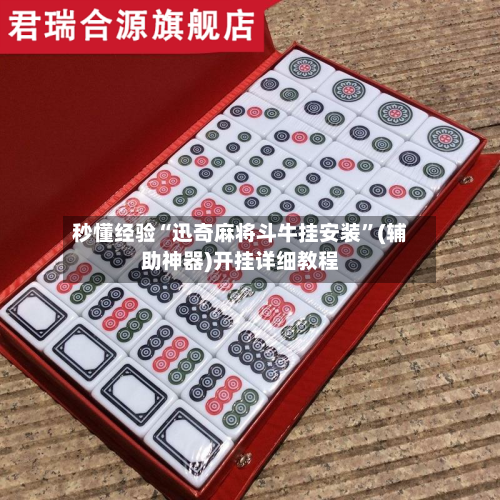 秒懂经验“迅奇麻将斗牛挂安装”(辅助神器)开挂详细教程-第2张图片