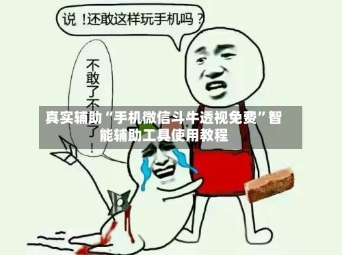 真实辅助“手机微信斗牛透视免费”智能辅助工具使用教程-第3张图片
