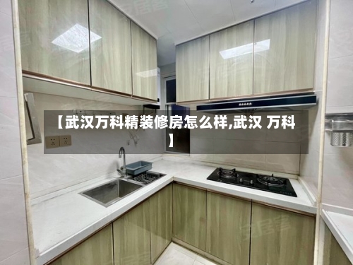 【武汉万科精装修房怎么样,武汉 万科】-第2张图片