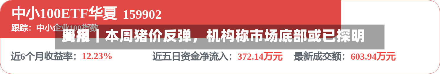 费用周报｜本周猪价反弹，机构称市场底部或已探明