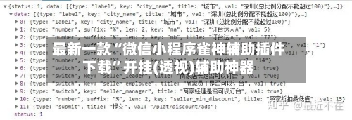 最新一款“微信小程序雀神辅助插件下载”开挂(透视)辅助神器