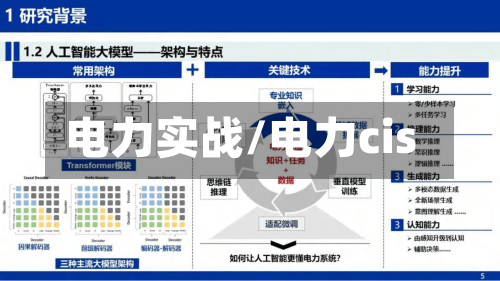 电力实战/电力cis