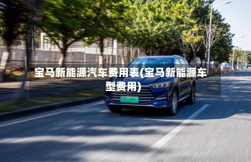 宝马新能源汽车费用表(宝马新能源车型费用)-第3张图片