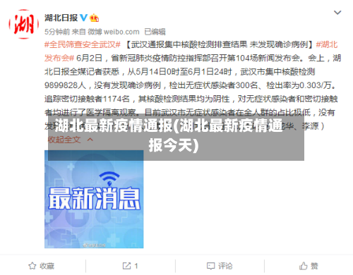 湖北最新疫情通报(湖北最新疫情通报今天)-第3张图片