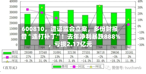 600810，遭证监会立案，多份财报曾“连打补丁”！去年净利暴跌888%	，亏损2.17亿元-第3张图片