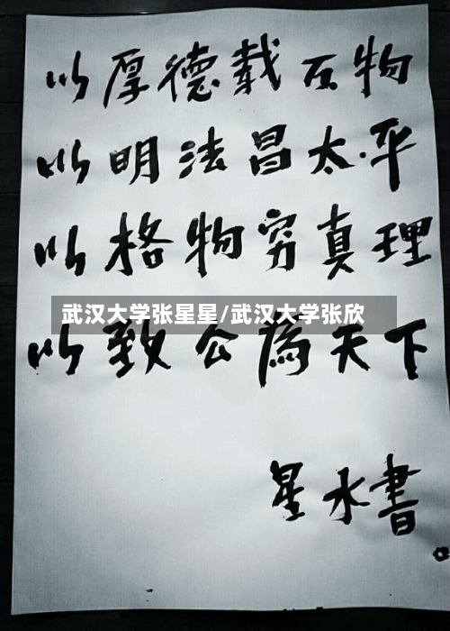 武汉大学张星星/武汉大学张欣-第2张图片